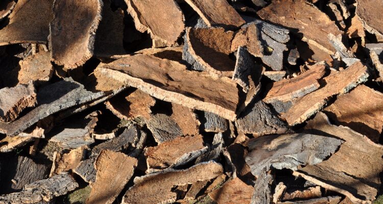 A close-up view of a pile of cork wood chips scattered on the ground, showcasing their texture and natural color variations.