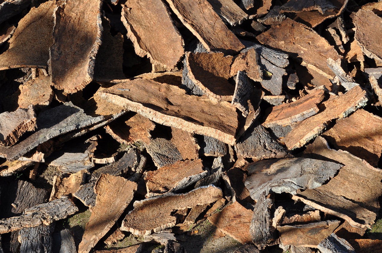 A close-up view of a pile of cork wood chips scattered on the ground, showcasing their texture and natural color variations.